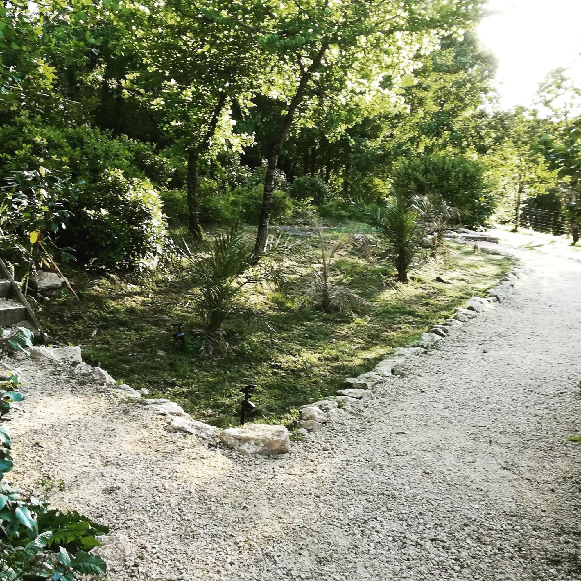 La Source Bed & Breakfast Saint-Cybranet Eksteriør bilde